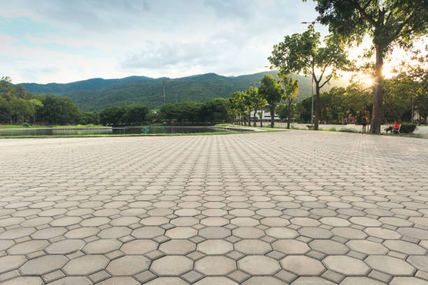 Best Residential Driveway Paver Services  in Atwood, TN